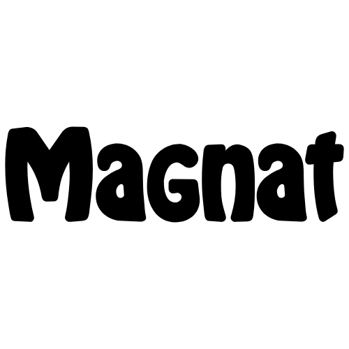 Brands 31 Magnat