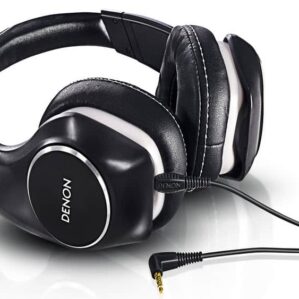 Headphones/Earphones