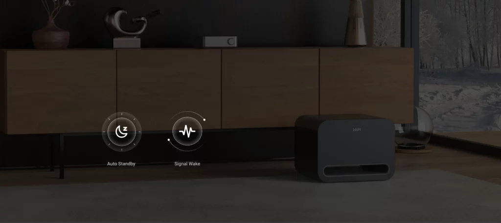 WiiM Sub Pro Subwoofer 20 WiiM Sub Pro Subwoofer