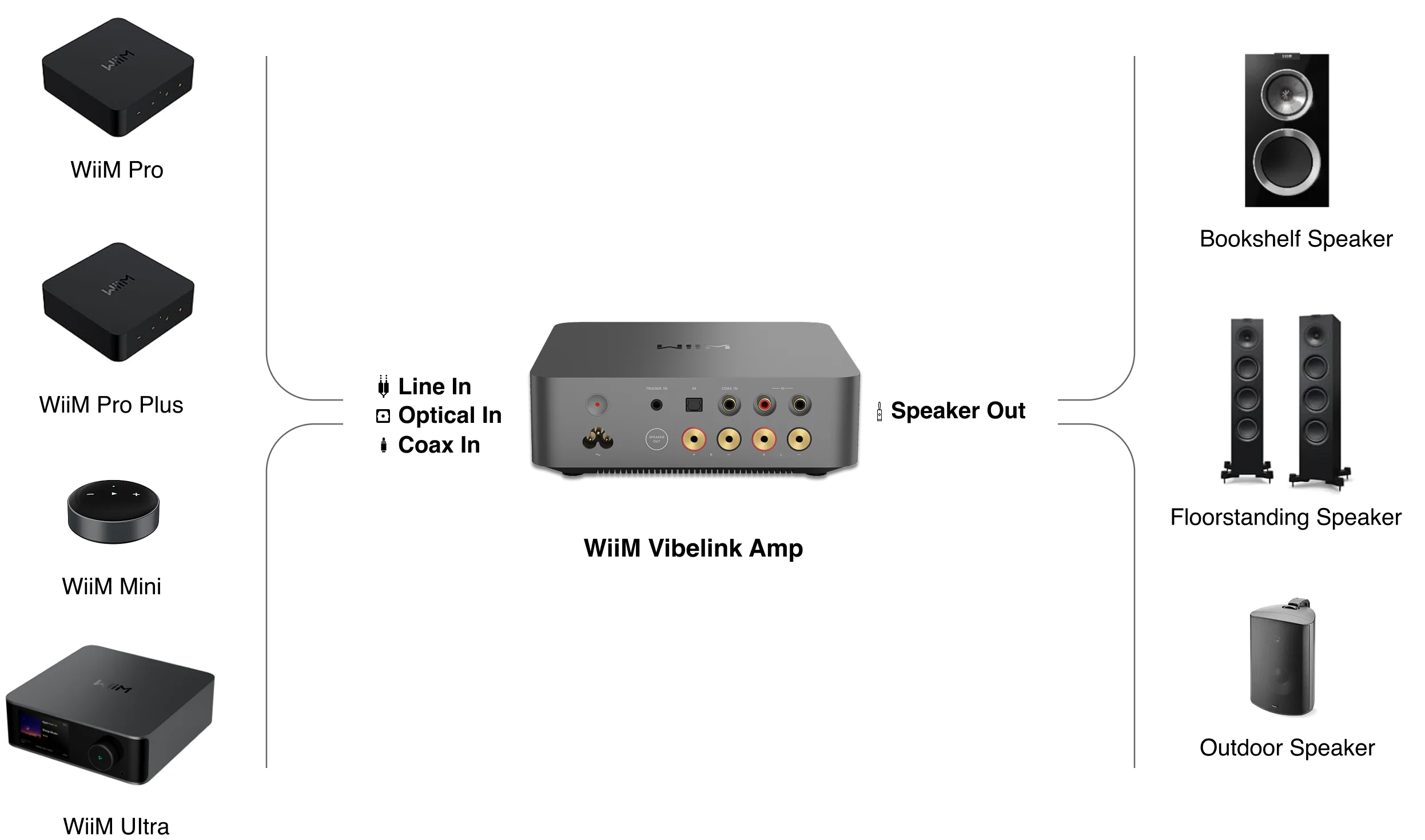 WiiM Vibelink Amp 24 seamlessImg zdwTLfIM
