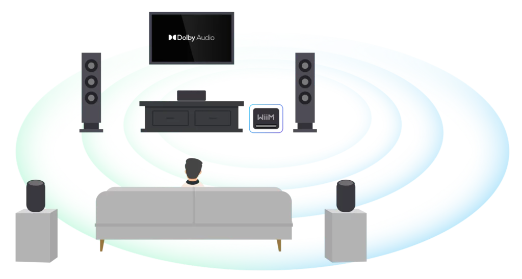 WiiM Sub Pro Subwoofer 16 WiiM Sub Pro Subwoofer