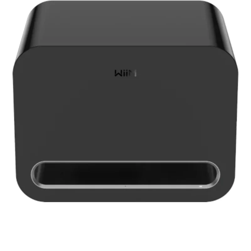 WiiM Sub Pro Subwoofer WiiM Sub Pro Subwoofer